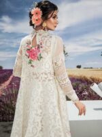 Rosa Bonica - Image 2