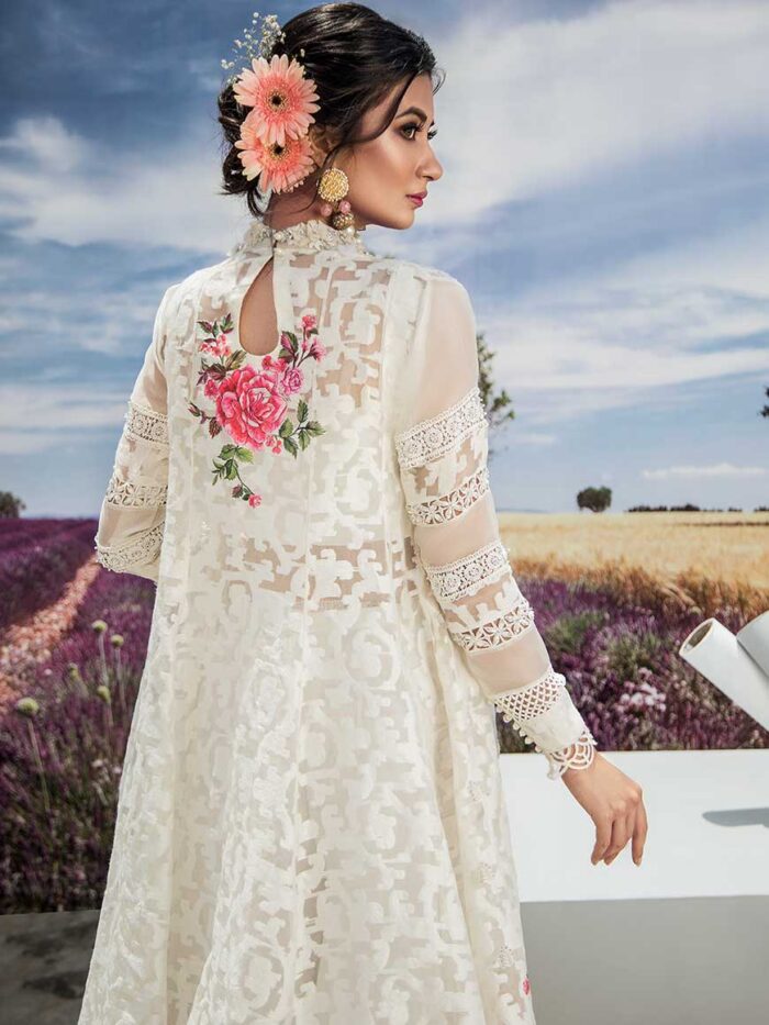 Rosa Bonica - Image 2