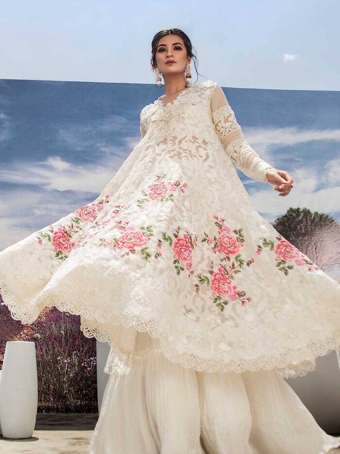 Rosa Bonica - Image 3